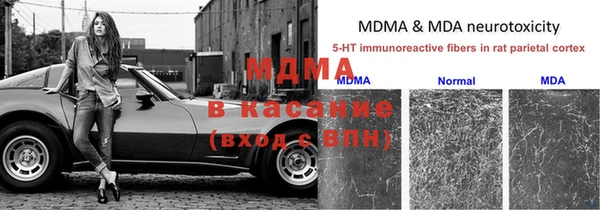 дурь Аркадак