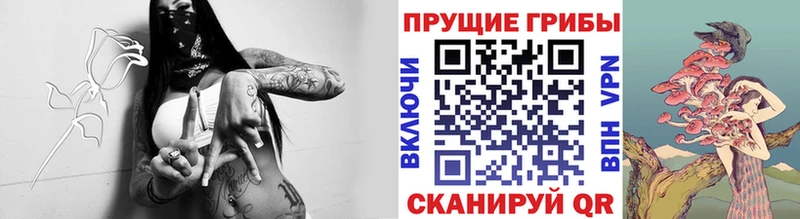 Галлюциногенные грибы Cubensis  продажа наркотиков  Семикаракорск 
